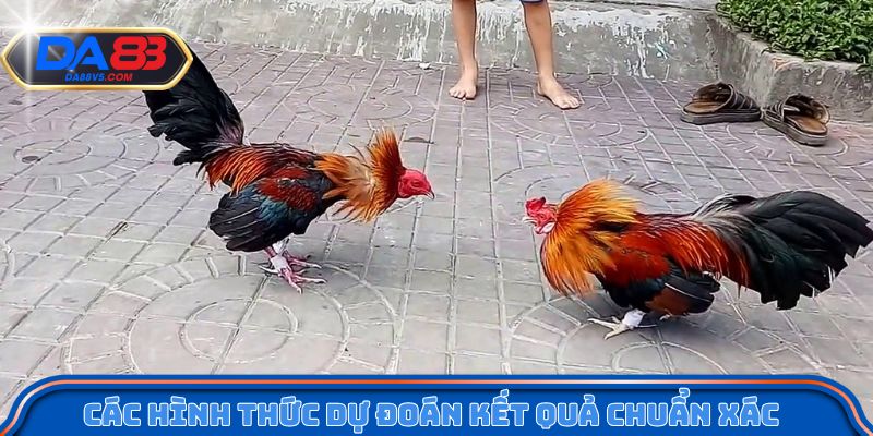 Các hình thức dự đoán kết quả chuẩn xác