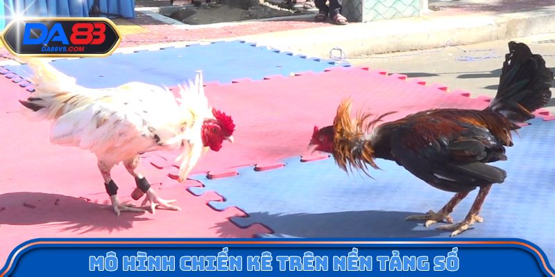 Tổng quan mô hình chiến kê trên nền tảng số